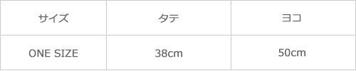 サイズ表