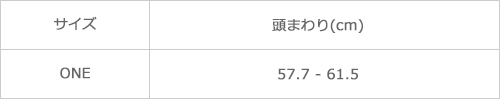 サイズ表