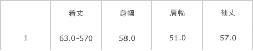 サイズ表