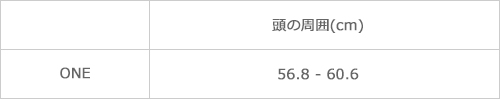 サイズ表