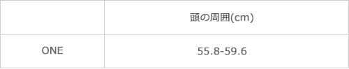 サイズ表