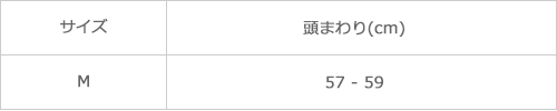 サイズ表
