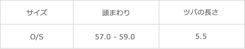 サイズ表