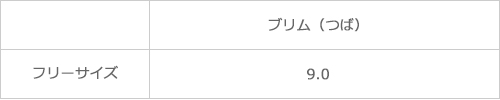 サイズ表